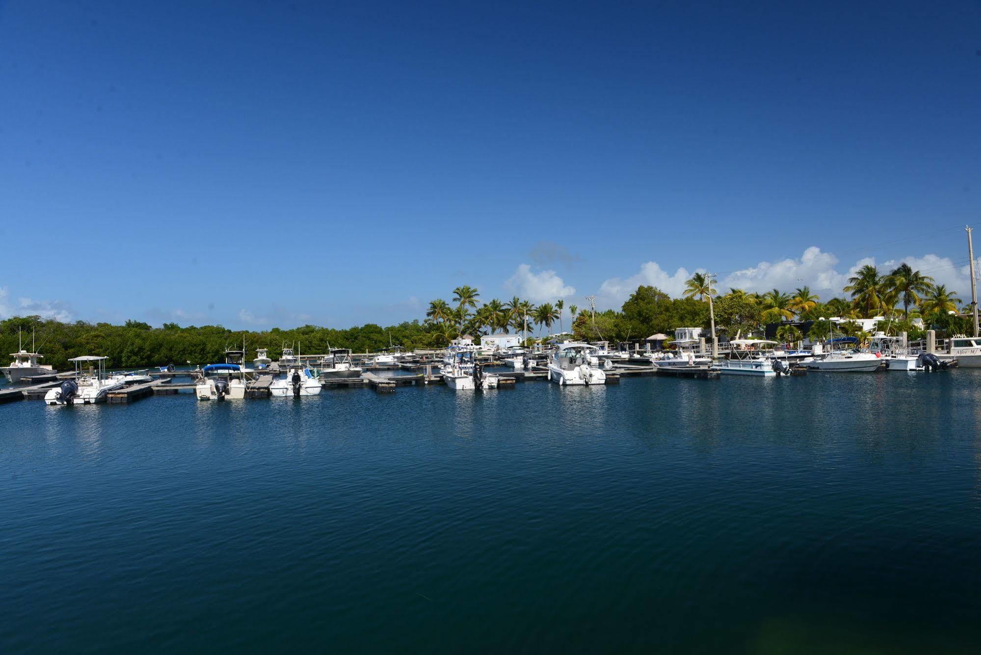 Sunshine Key Rv Resort & Marina 大松礁岛 外观 照片