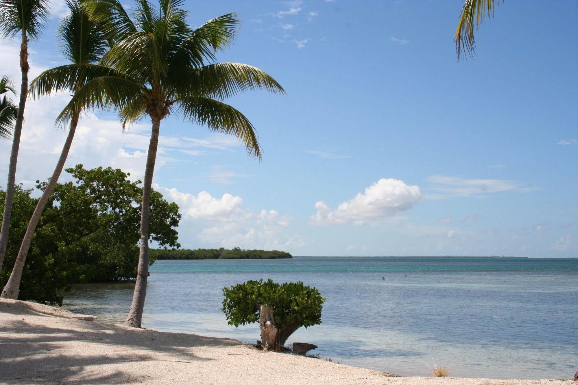 Sunshine Key Rv Resort & Marina 大松礁岛 外观 照片